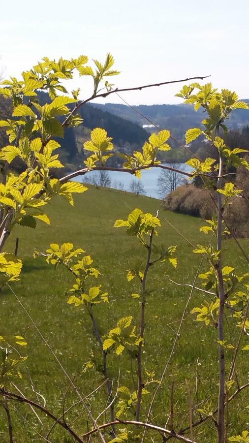 Ferienhaus " Silly " Am Schoenen Listersee Meinerzhagen Ngoại thất bức ảnh